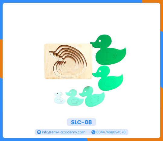 بازل بطة متعدد الطبقات